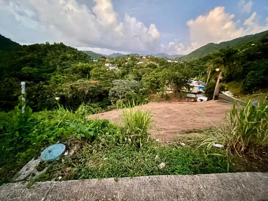 164 St. km 4.4 Bo. Nuevo, Naranjito, PR 00719 - Image #3