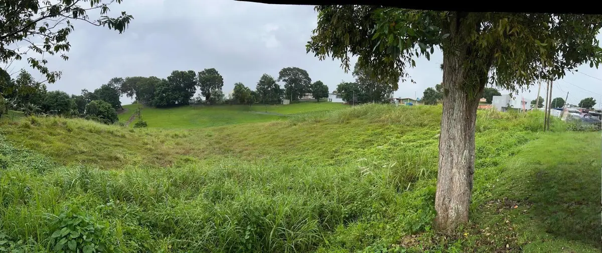 PR807 Km.4.5 Bo. Palos Blancos, Corozal, PR 00783 - Image #1