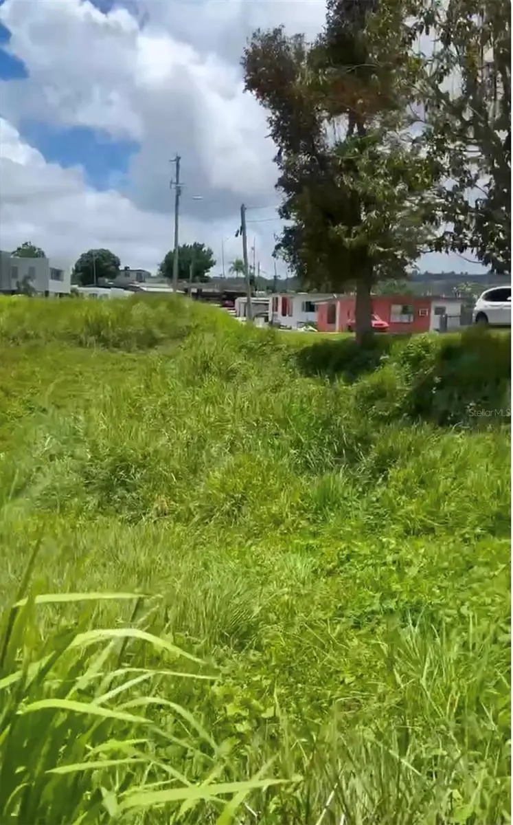 PR807 Km.4.5 Bo. Palos Blancos, Corozal, PR 00783 - Image #3