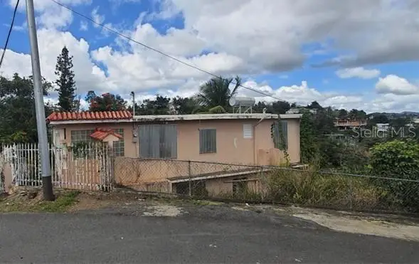 PR-730 INTERIOR Buena Vista, Toita Ward, Cayey, PR 00736 - Image #2