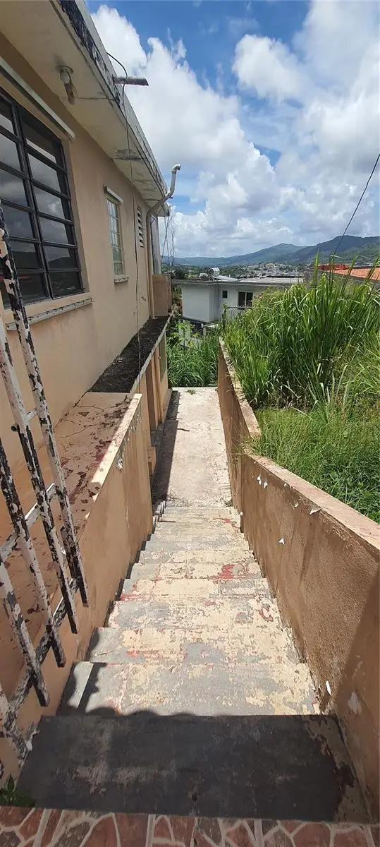 PR-730 INTERIOR Buena Vista, Toita Ward, Cayey, PR 00736 - Image #3