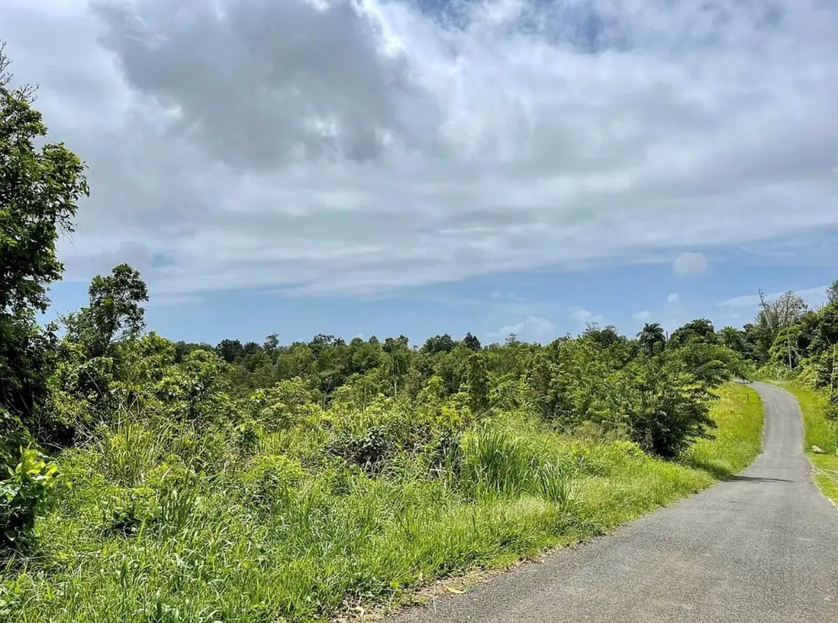 975 Ceiba , Bo Rio Abajo, Ceiba, PR 00735 - Image #1