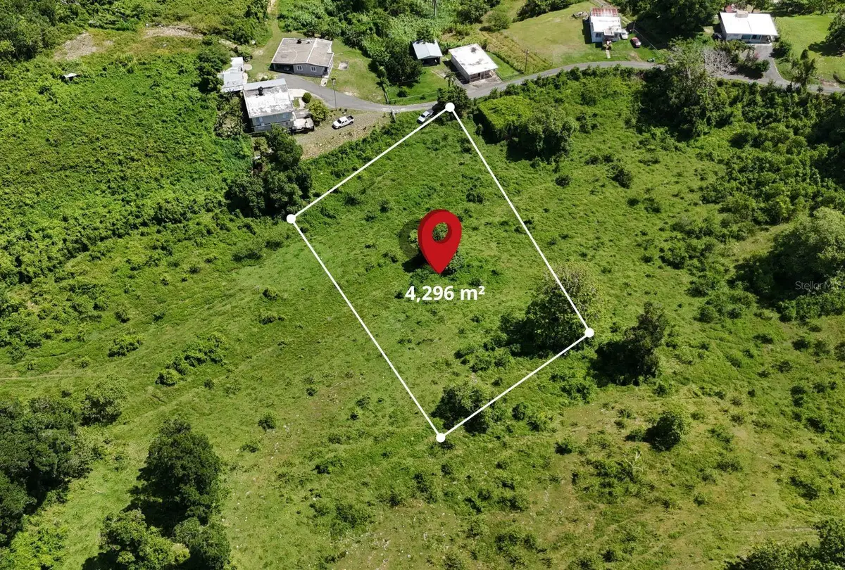 CARR. 445 KM. 3.4 INT. Barrio Saltos, San Sebastian, PR 00685 - Image #1