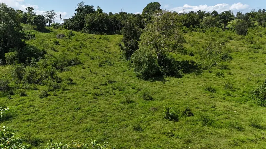 CARR. 445 KM. 3.4 INT. Barrio Saltos, San Sebastian, PR 00685 - Image #2