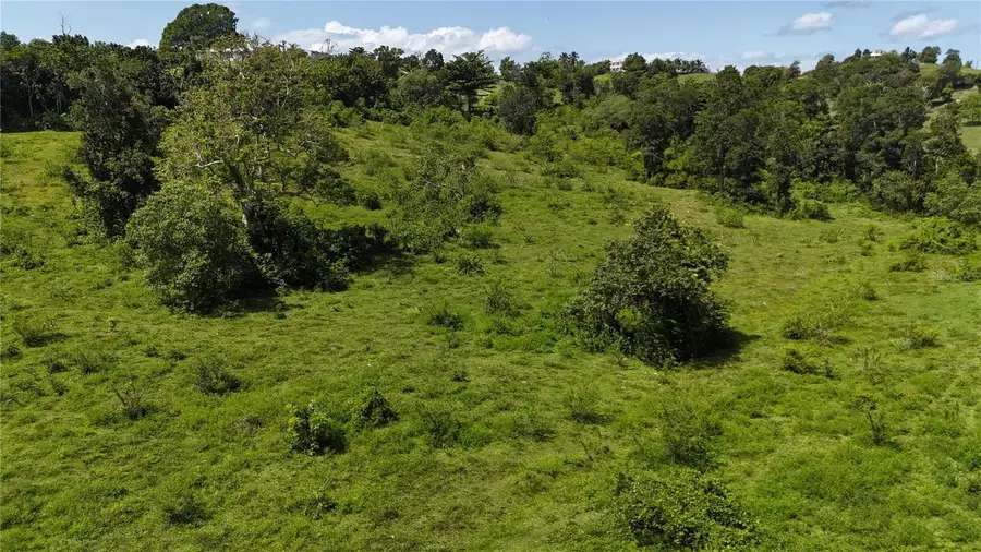 CARR. 445 KM. 3.4 INT. Barrio Saltos, San Sebastian, PR 00685 - Image #3