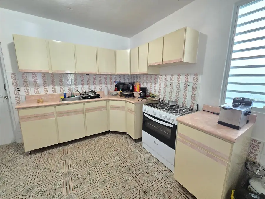 Carr 916 Barrio Cerro Gordo, San Lorenzo, PR 00754 - Image #3