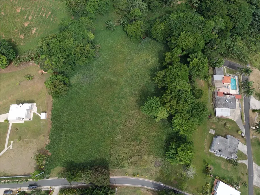 CARR. 159 Bo. Padilla Km 10.5 #SOLAR 1, Corozal, PR 00783 - Image #2