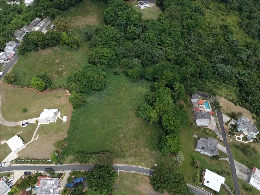 CARR. 159 Bo. Padilla Km 10.5 #SOLAR 1, Corozal, PR 00783 - Image #3