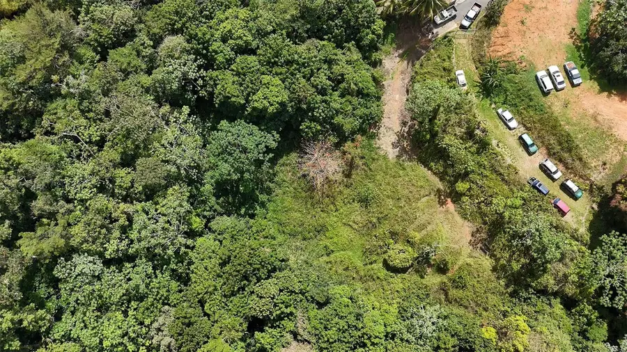 KM 9.1 PR 354 Camino La Iglesia, Mayaguez, PR 00680 - Image #3