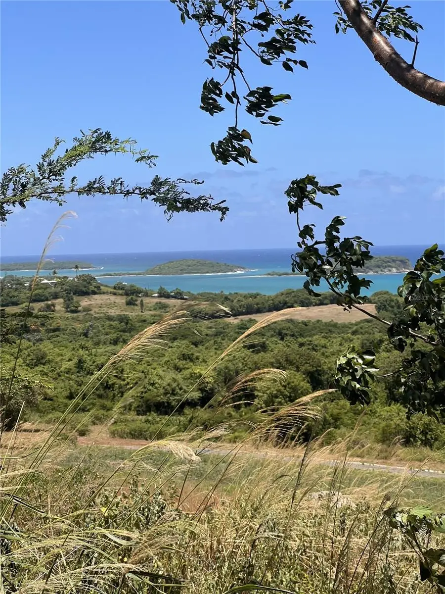 La Hueca Vistas Lot 1, Vieques, PR 00765 - Image #3