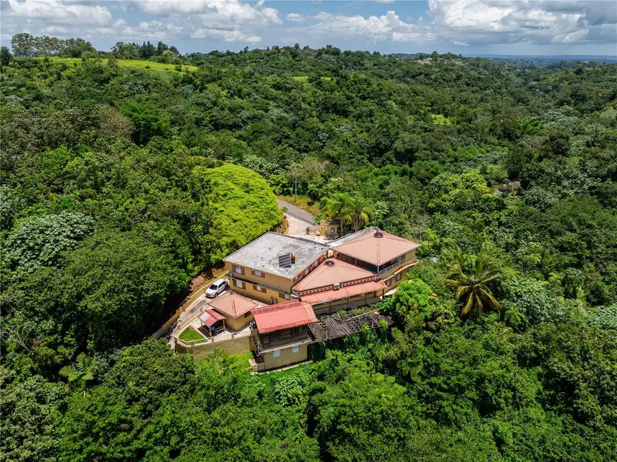 Carr 129 Km.hm 11.0, Lares, PR 00669 - Image #2