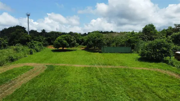 Carr 490, HATO ARRIBA,ARECIBO, PR 00612