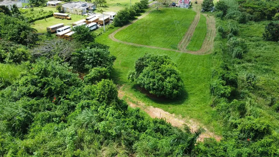 Carr 490, Hato Arriba,arecibo, PR 00612 - Image #2