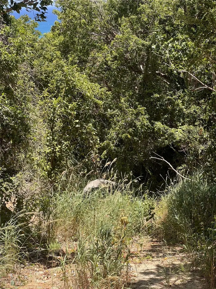 La Hueca Vistas Lot 2, Vieques, PR 00765 - Image #2