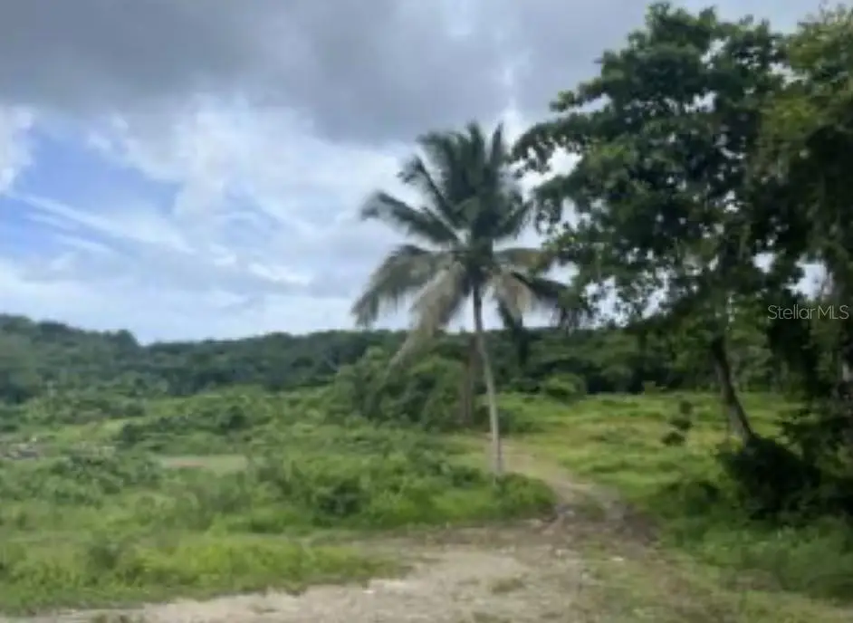 El Zarzal, Rio Grande, PR 00745 - Image #1