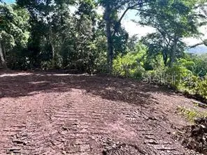 Bo. Damian Abajo, Orocovis, PR 00720 - Image #1