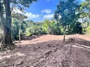 Bo. Damian Abajo, Orocovis, PR 00720 - Image #3