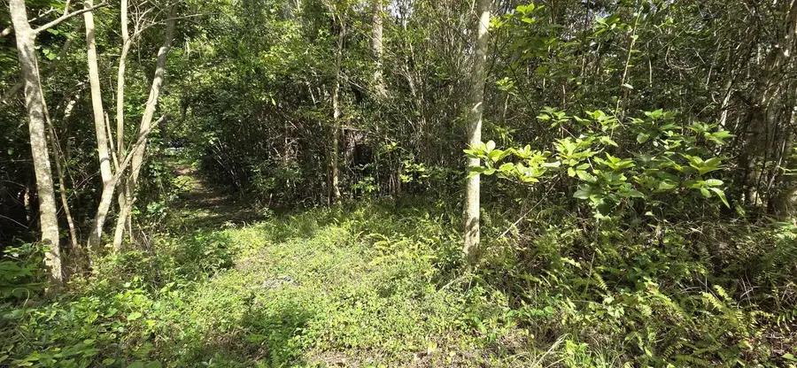 Carr 647 Bo. Candelaria Lote D, Vega Alta, PR 00692 - Image #2