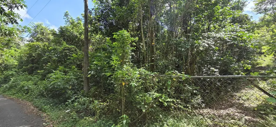 Carr 647 Bo. Candelaria Lote D, Vega Alta, PR 00692 - Image #3