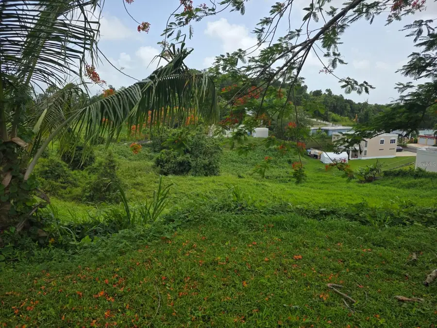 KM 4.5 SR 962 Bo. Cambalache, Canovanas, PR 00729 - Image #3