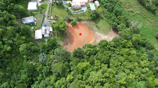 CARR 677 K1 H5 LOTE 5 Bo Espinosa Comm La Pra, DORADO, PR 00646