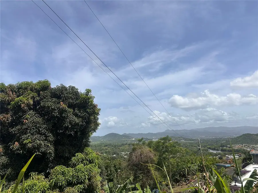 Carr. 941 Km.Hm 5 Bo Jaguas, Gurabo, PR 00778 - Image #3