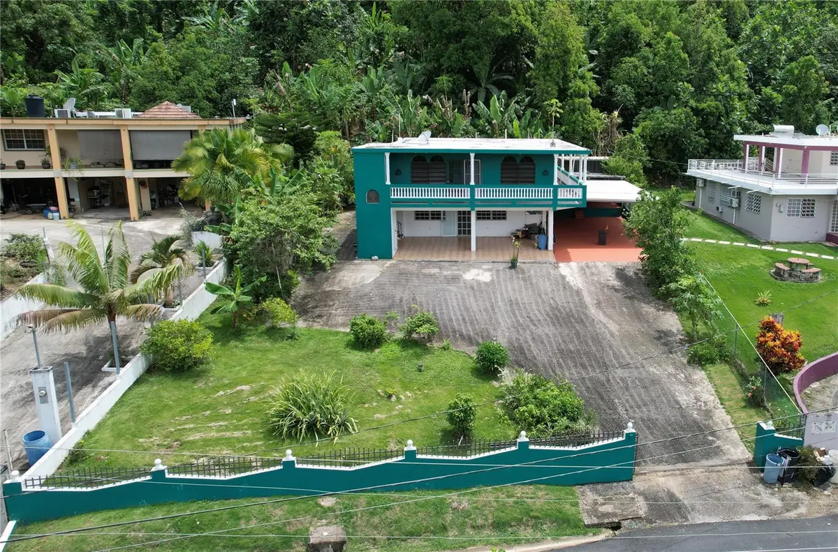 carr 818 km 1.1 Bo Cibuco Lot A, Corozal, PR 00783 - Image #1