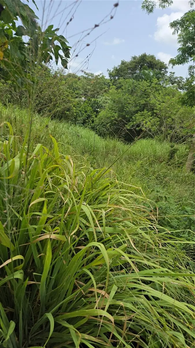 Km 9.1 Sr-829 Int Lot 7 Km 9.1, Bayamon, PR 00958 - Image #2