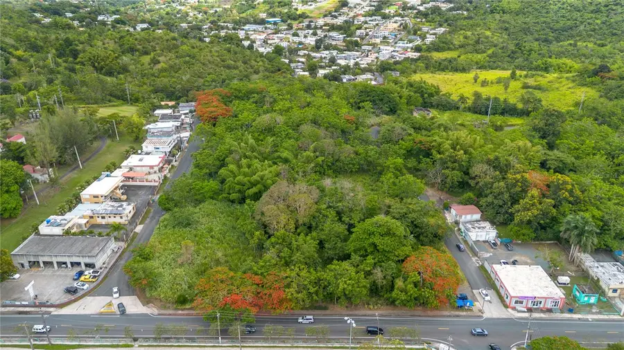 Carr 14 Km 71.2, Cayey, PR 00737 - Image #2