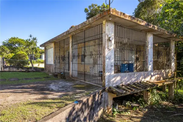 SR 183 Km 14.6, SAN LORENZO, PR 00754