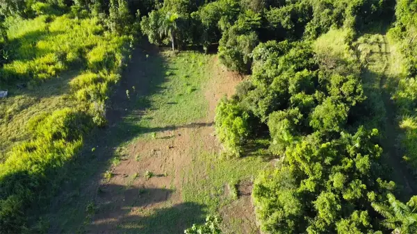 Bo. Carruzo Sector Las Flores, CAROLINA, PR 00987