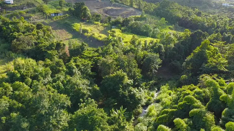 Bo. Carruzo Sector Las Flores, Carolina, PR 00987 - Image #3