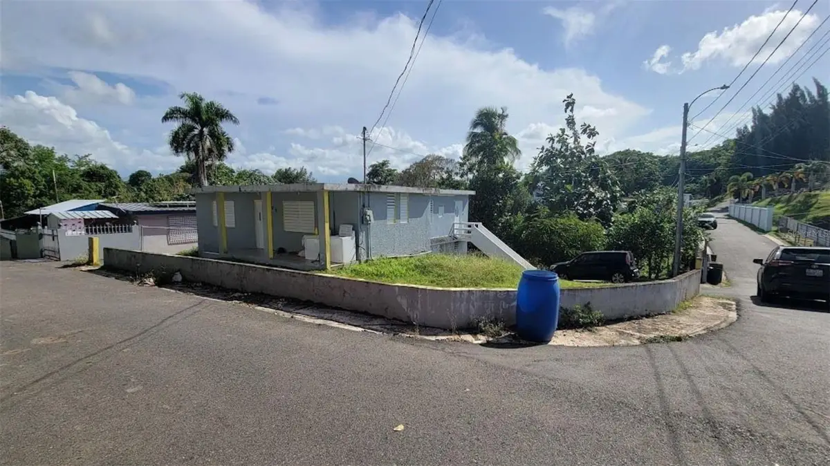 CALLE OLIVO 75 Pr 671 Km 0.7 Pajonal, Florida, PR 00650 - Image #1