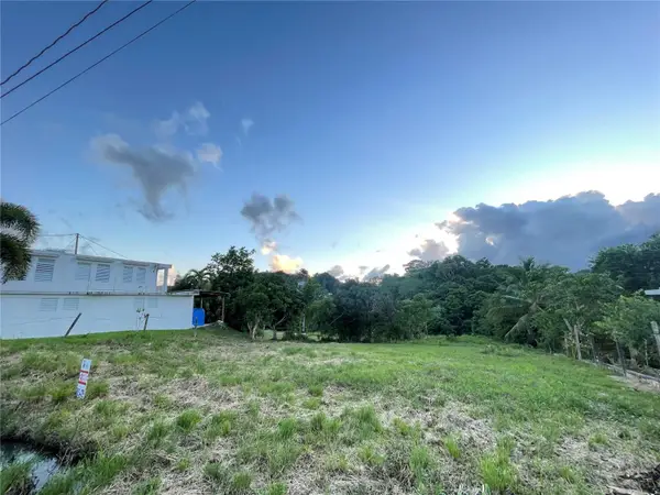 Bo Cerro Gordo , Carr 916 Km.hm 3.7, SAN LORENZO, PR 00754