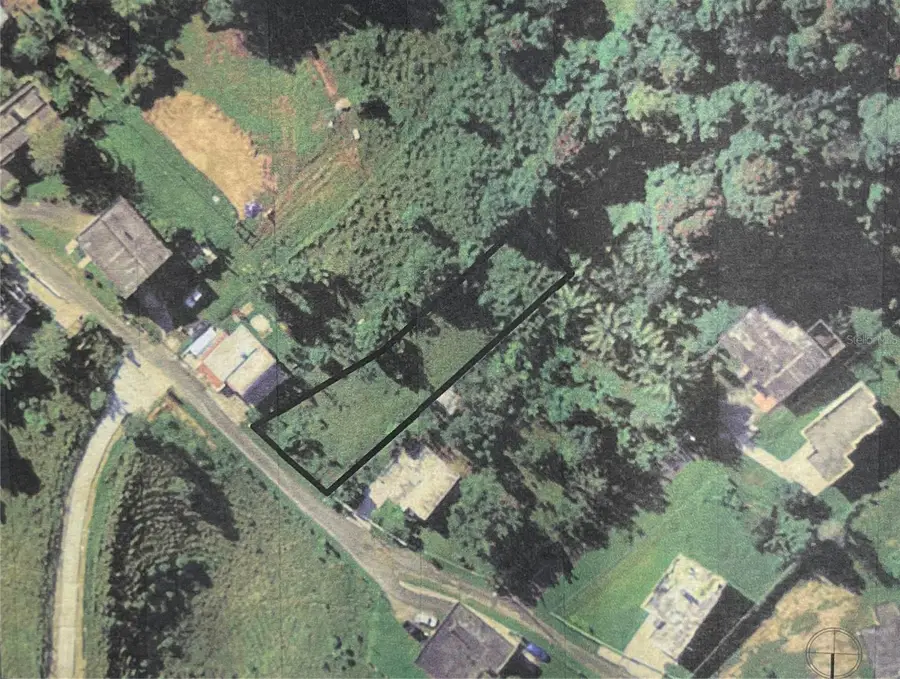 Bo Cerro Gordo , Carr 916 Km.hm 3.7, San Lorenzo, PR 00754 - Image #3