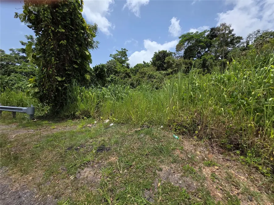 Carr-137, Morovis, PR 00687 - Image #3