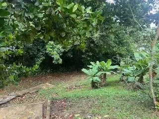 Jajome Alto Jajome Alto, Cayey, PR 00736 - Image #3