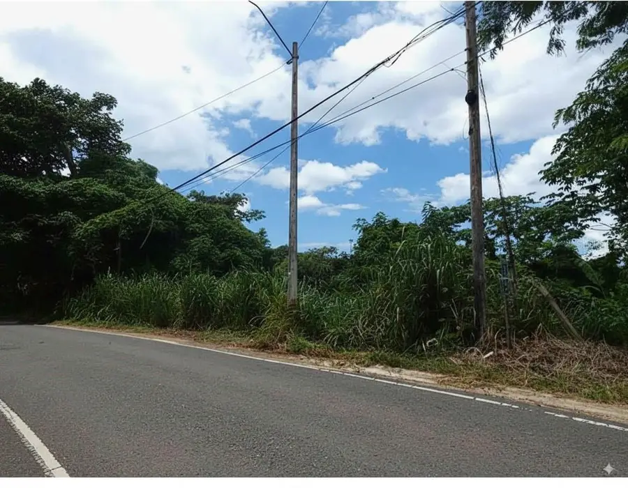 Sr 108 Km 7.4 Rio Caas Wd #C-1, Anasco, PR 00610 - Image #2