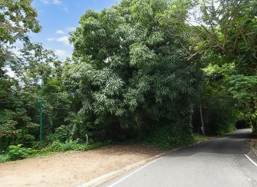 Sr 108 Km 8.1 Rio Caas Wd #C-2, Anasco, PR 00610 - Image #2