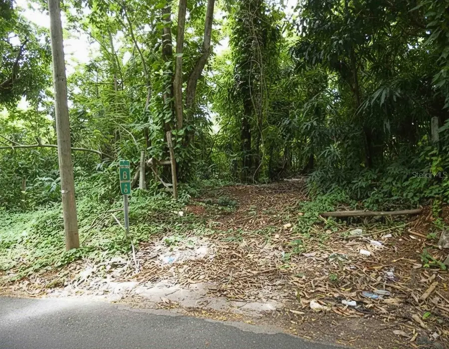 Sr 108 Km 8.1 Rio Caas Wd #C-2, Anasco, PR 00610 - Image #3