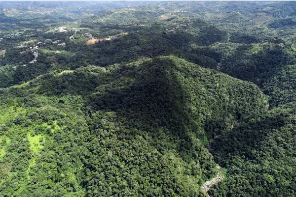 Carr.140 Bo Mameyes Abajo, UTUADO, PR 00641