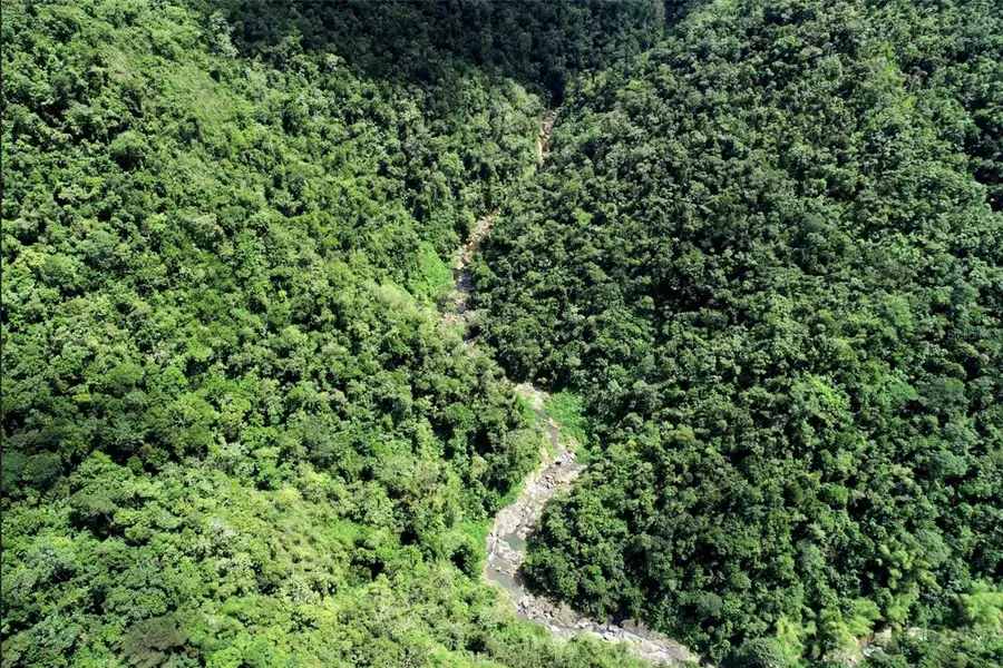 Carr.140 Bo Mameyes Abajo, Utuado, PR 00641 - Image #2