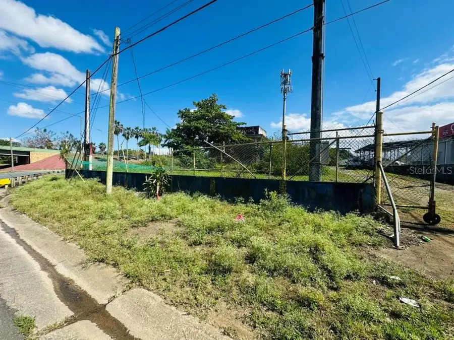 Bo. Espinosa, Dorado, PR 00646 - Image #2