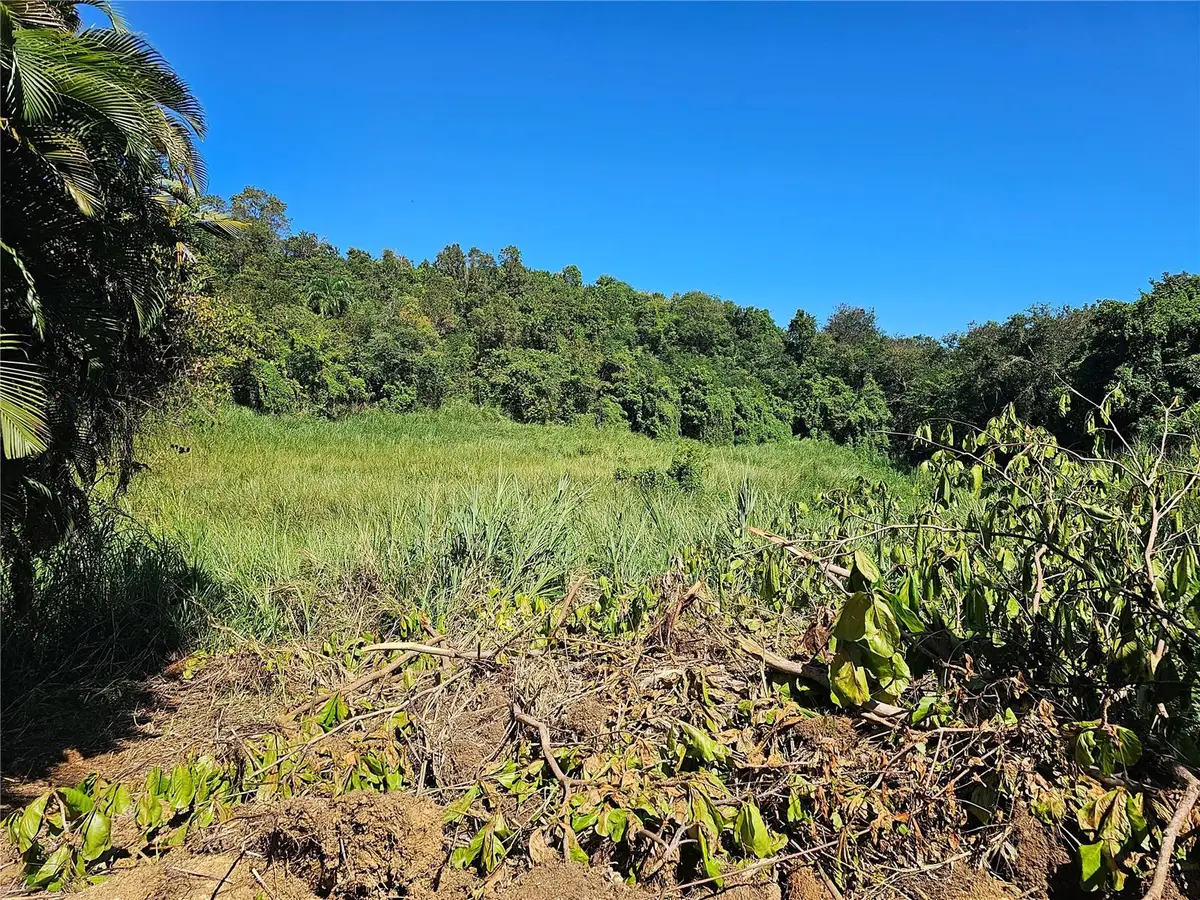 Pr-159, Morovis, PR 00687 - Image #1