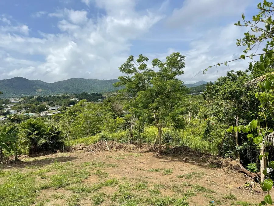 Bo. Arenas Carr Pr-734 Km 6.3, Cidra, PR 00739 - Image #2