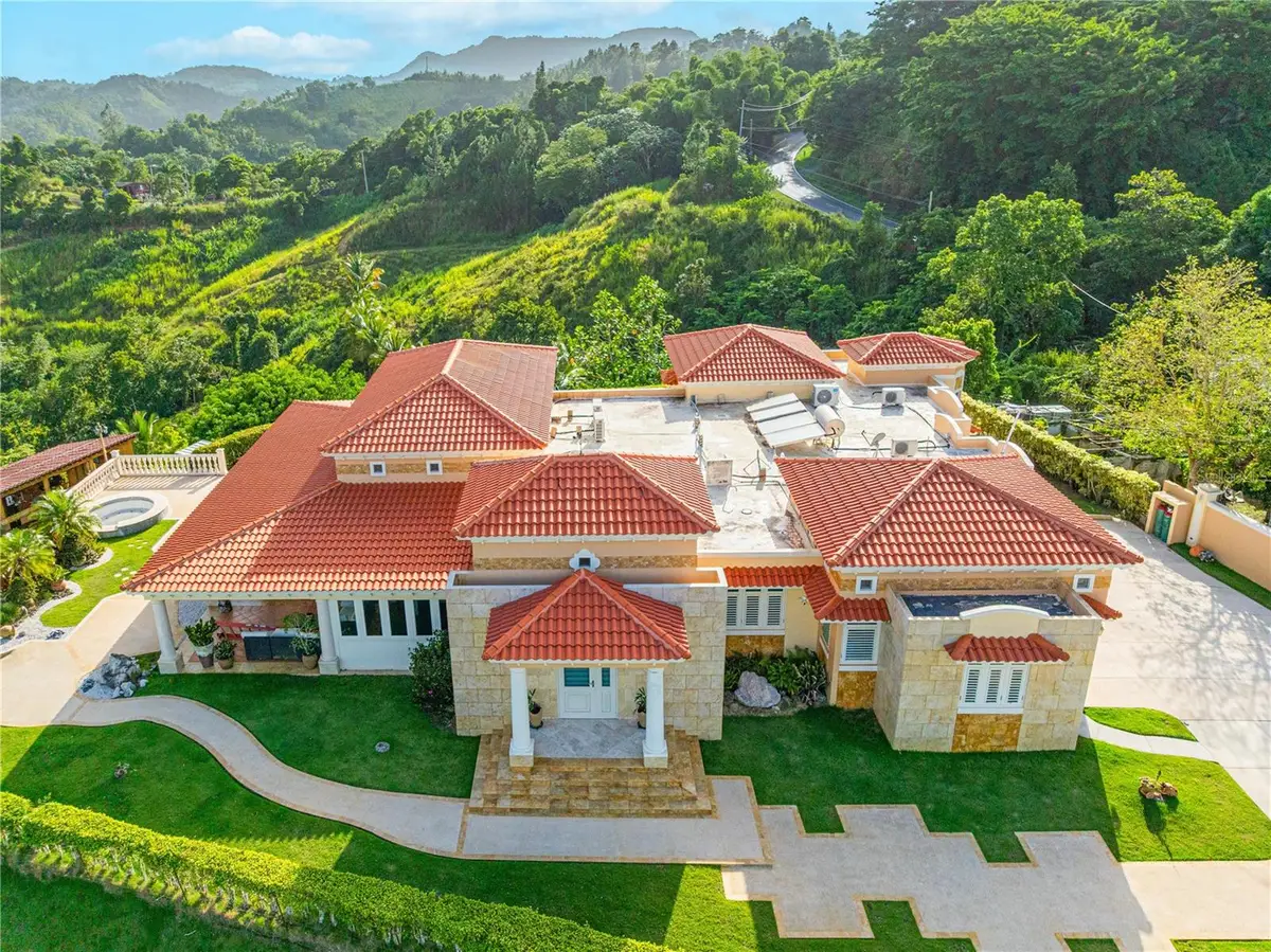 Ruben Marrero Helechal Ward, Barranquitas, PR 00794 - Image #1