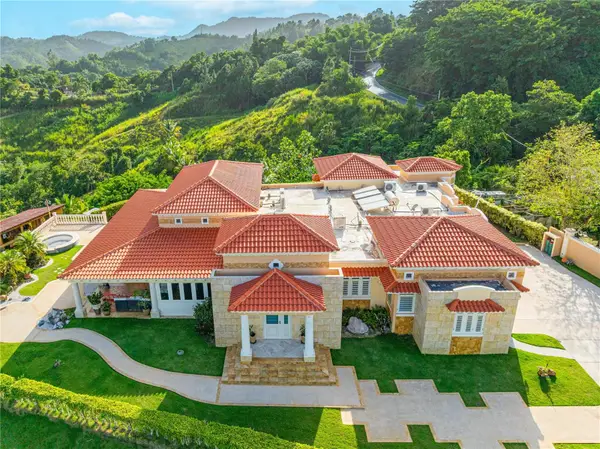 Ruben Marrero Helechal Ward, BARRANQUITAS, PR 00794