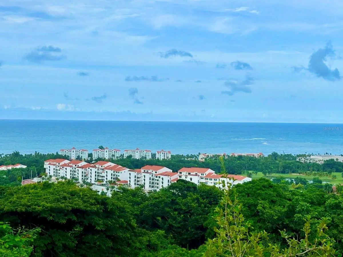 968 Km. 1.8 Las Coles Sector, Rio Grande, PR 00745 - Image #1