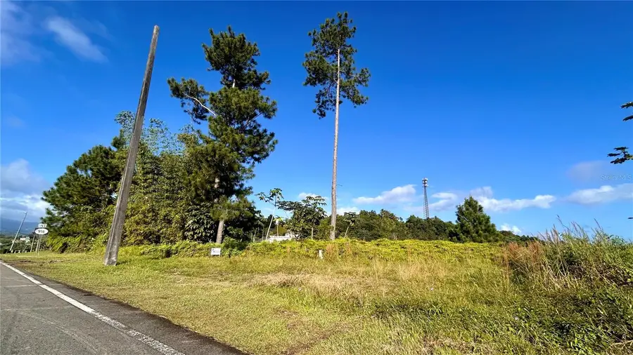 Carr 917, Km 5.9, B0 Montones, Las Piedras, PR 00771 - Image #3