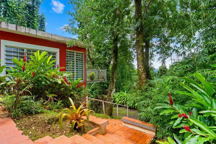 Carr 186 km 22.1 Bo. Jimnez #LOT 16, Rio Grande, PR 00745 - Image #3